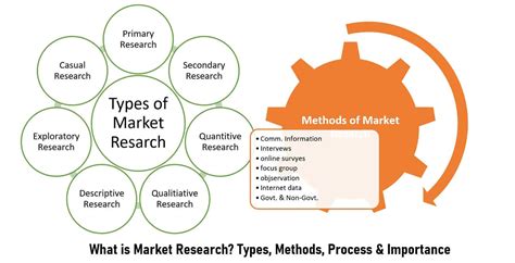 How to Do Market Research, Types, and Example .